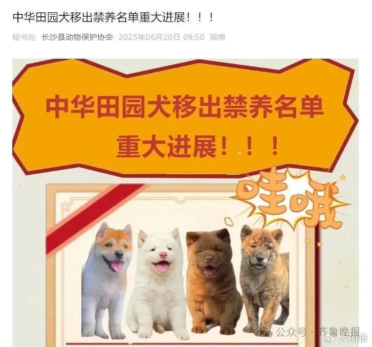 多地解禁土狗! 多地解禁土狗!