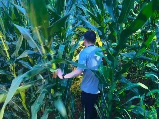 离谱!男子“失联”后暴走6天,只为忘了前女友 离谱!男子“失联”后暴走6天,只为忘了前女友