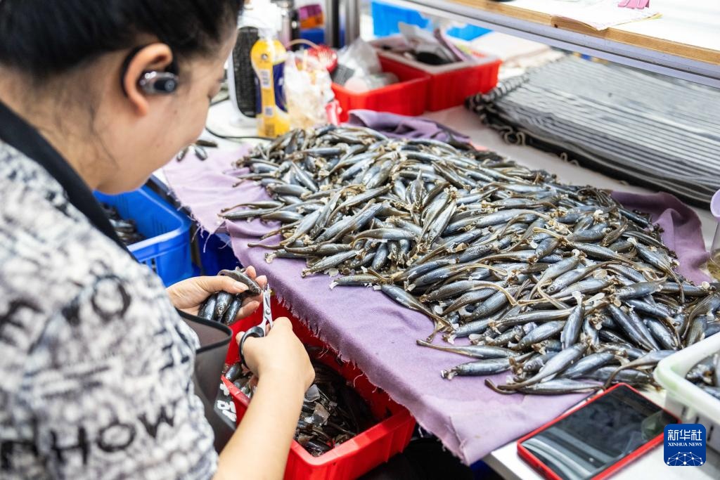 湖南临湘:小浮标“钓”出大产业 湖南临湘:小浮标“钓”出大产业