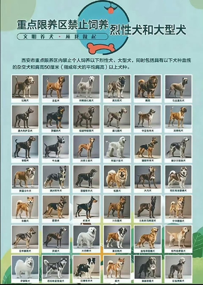 多地解禁“土狗”