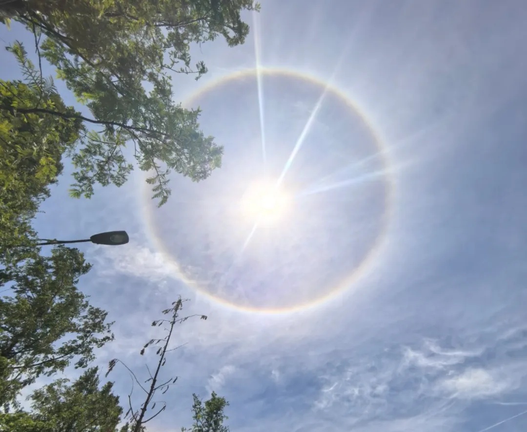 上海今日惊现“太阳彩虹”！绝美日晕刷屏，这样拍不伤眼→