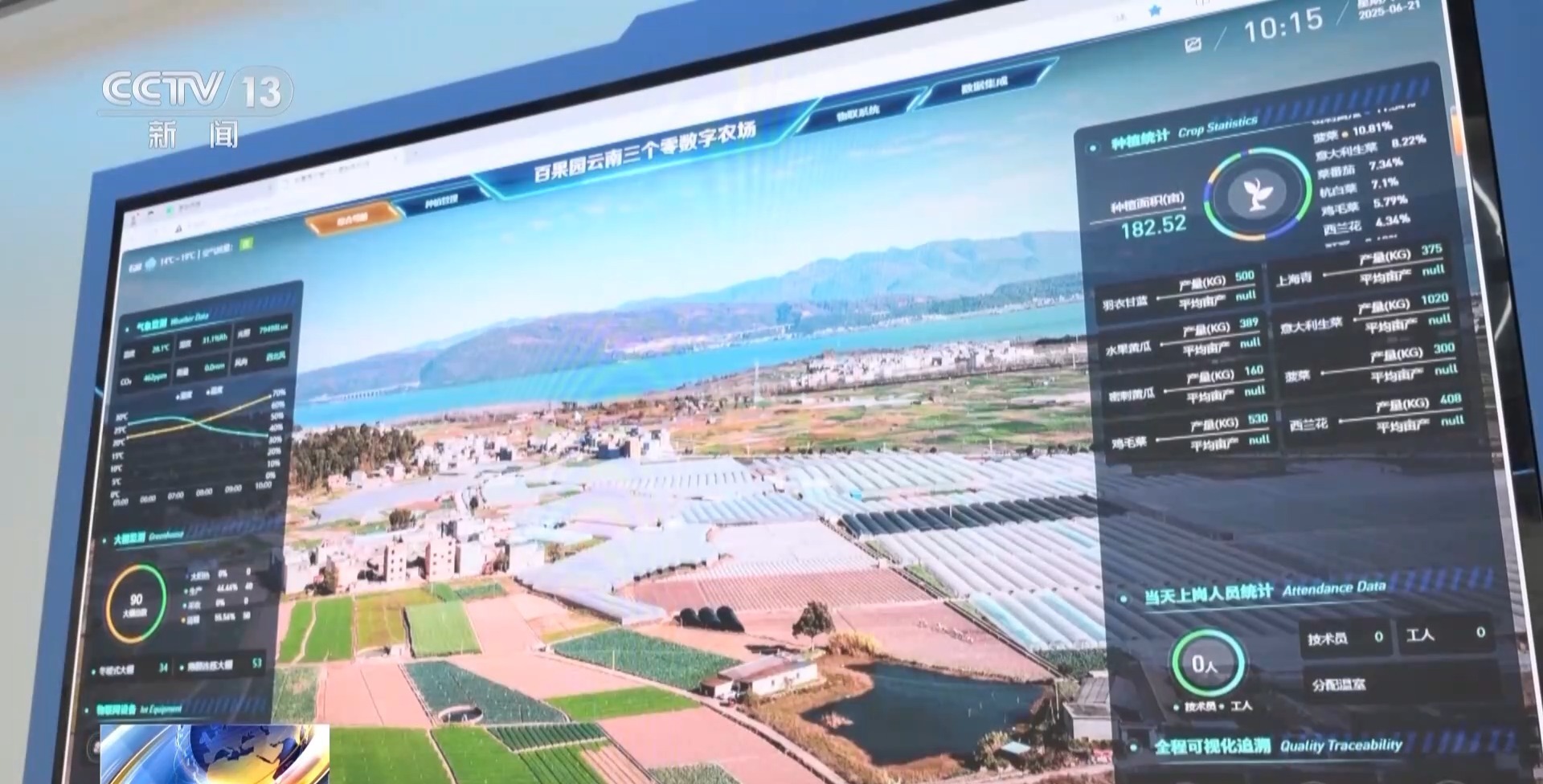 一杯奶茶如何重塑万亩良田?解码中国奶茶“地域密码” 一杯奶茶如何重塑万亩良田?解码中国奶茶“地域密码”