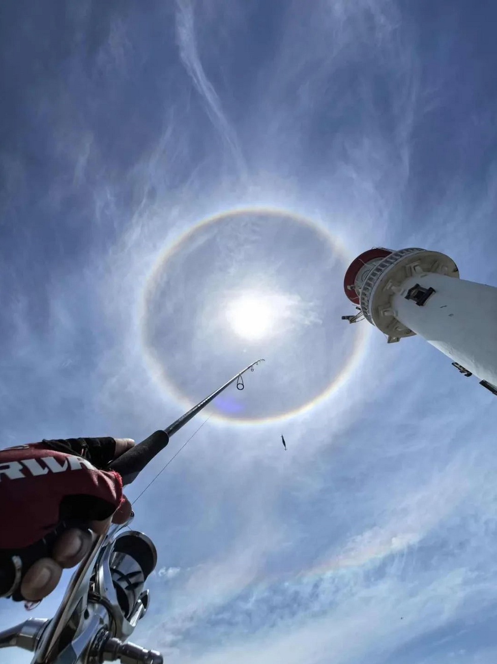 冲上热搜！突然在上海天空出现，大批市民抬头看，官方紧急提醒：直视有伤害