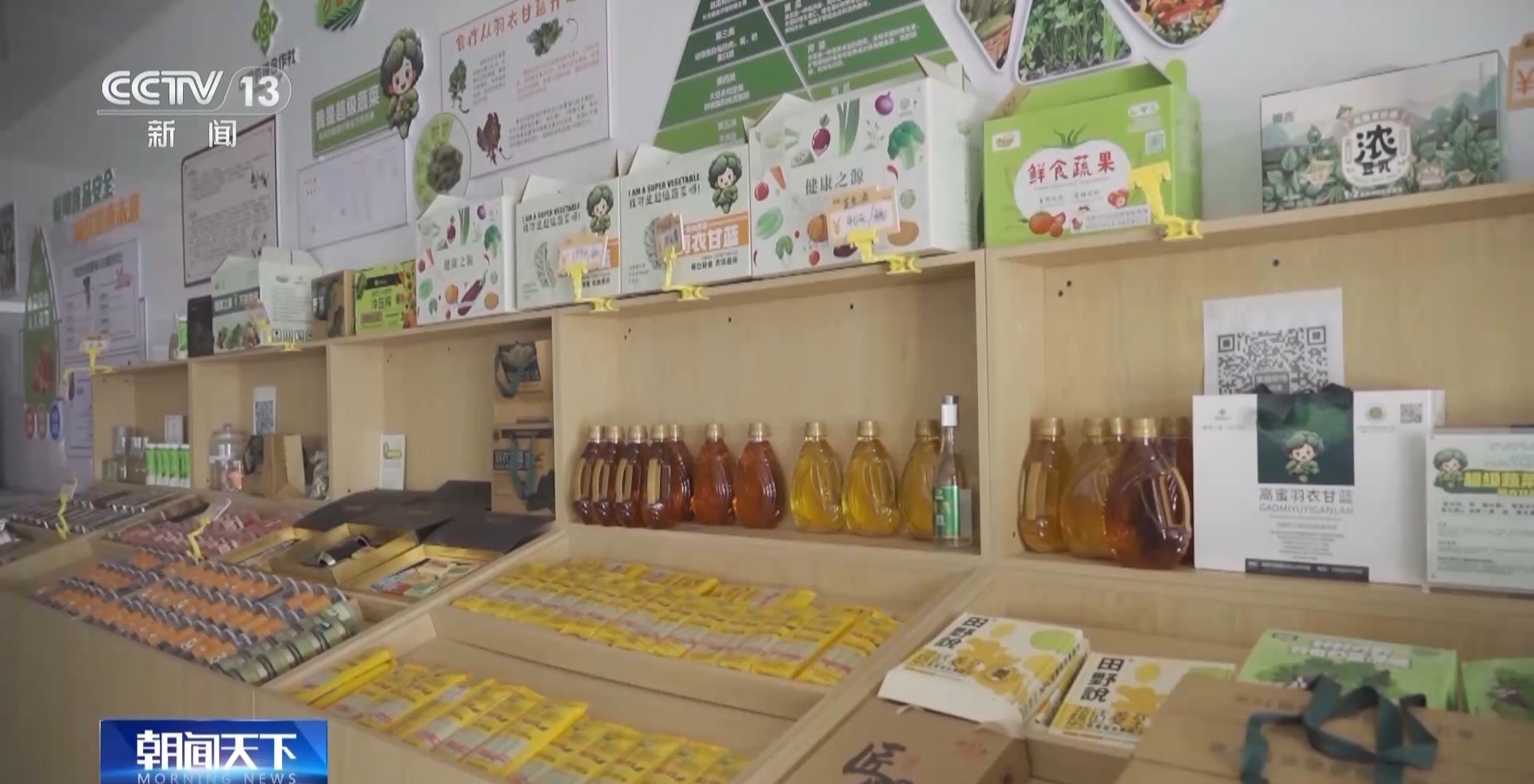 一杯奶茶如何重塑万亩良田?解码中国奶茶“地域密码” 一杯奶茶如何重塑万亩良田?解码中国奶茶“地域密码”