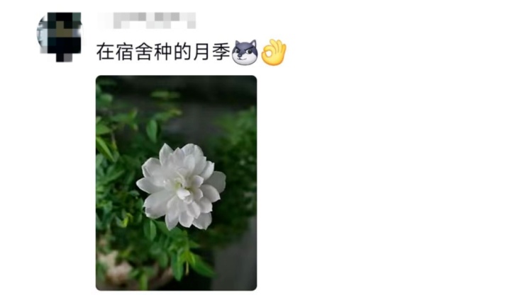 这个宿舍终究还是选对了!网友:可以睡觉是它最不值一提的优点 这个宿舍终究还是选对了!网友:可以睡觉是它最不值一提的优点