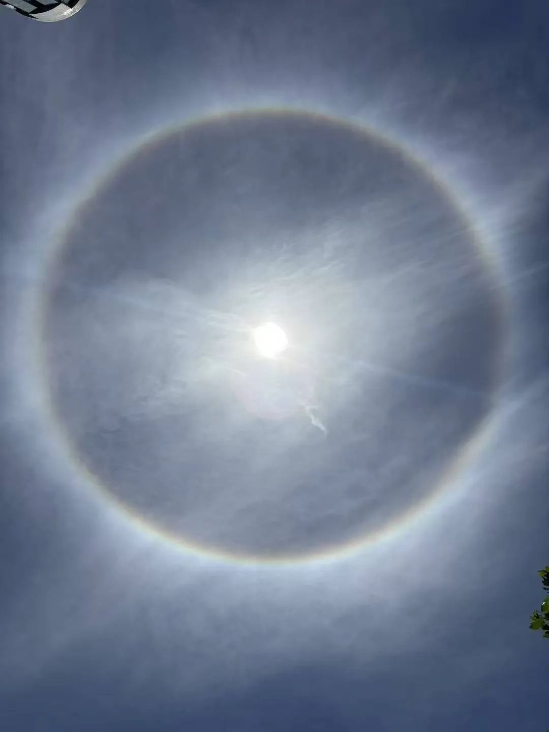 上海今日惊现“太阳彩虹”！绝美日晕刷屏，这样拍不伤眼→