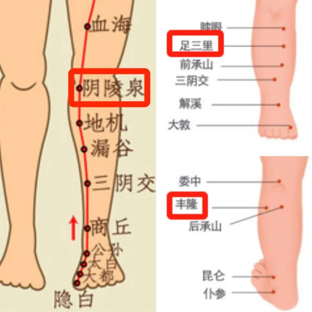 梅雨季,祛湿健脾正当时 梅雨季,祛湿健脾正当时