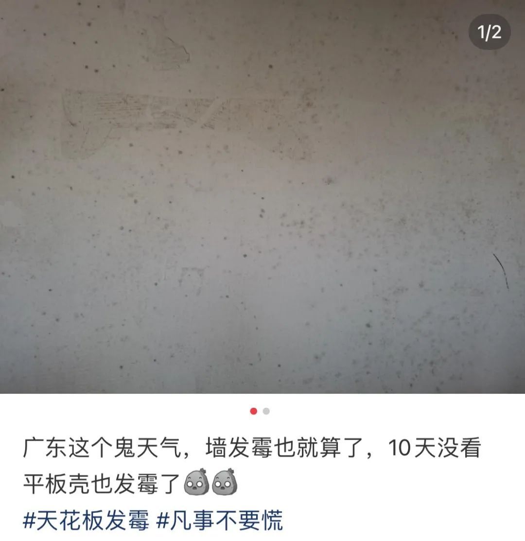 最近不少人家中出现,赶快清理! 最近不少人家中出现,赶快清理!