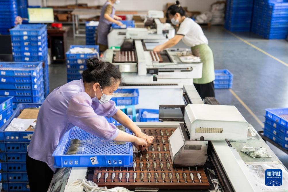 湖南临湘:小浮标“钓”出大产业 湖南临湘:小浮标“钓”出大产业