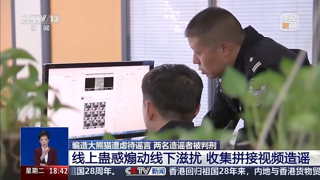 造谣大熊猫受虐博流量，获利近20万元，两人被判刑