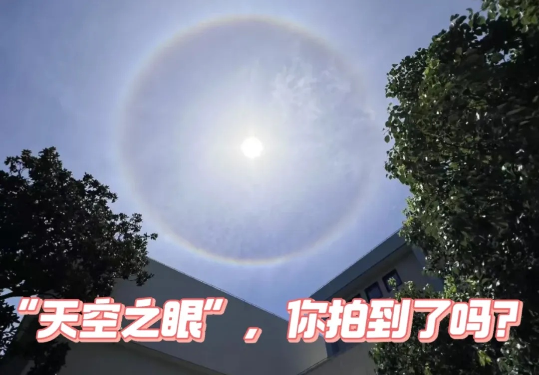 上海今日惊现“太阳彩虹”！绝美日晕刷屏，这样拍不伤眼→