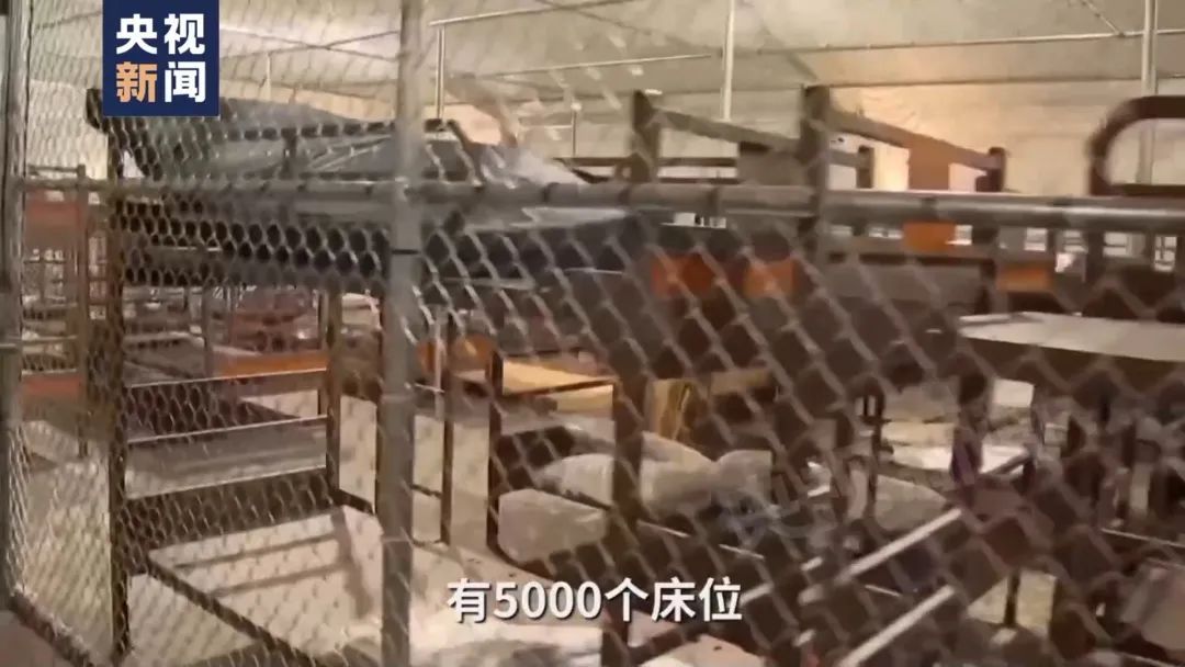 被鳄鱼包围、只有一条路到外界…… “鳄鱼恶魔岛”内部画面曝光