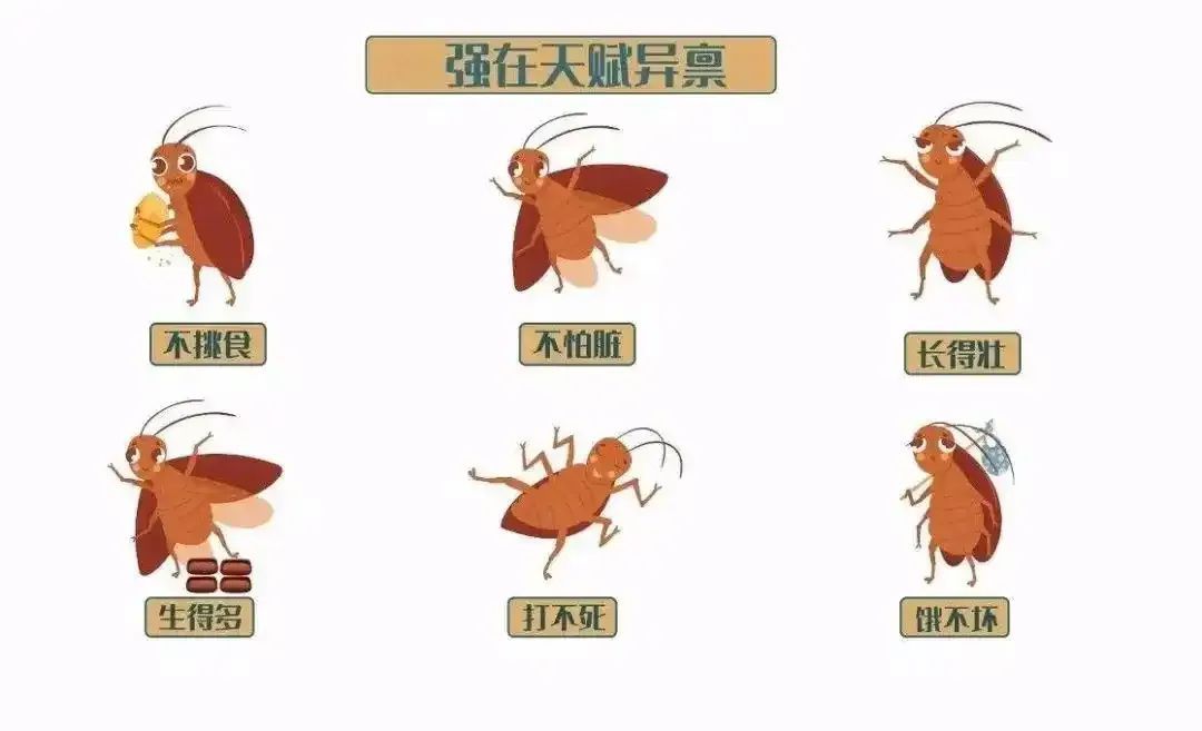 繁殖高峰到！广东人又崩溃了，更让人受不了的是……