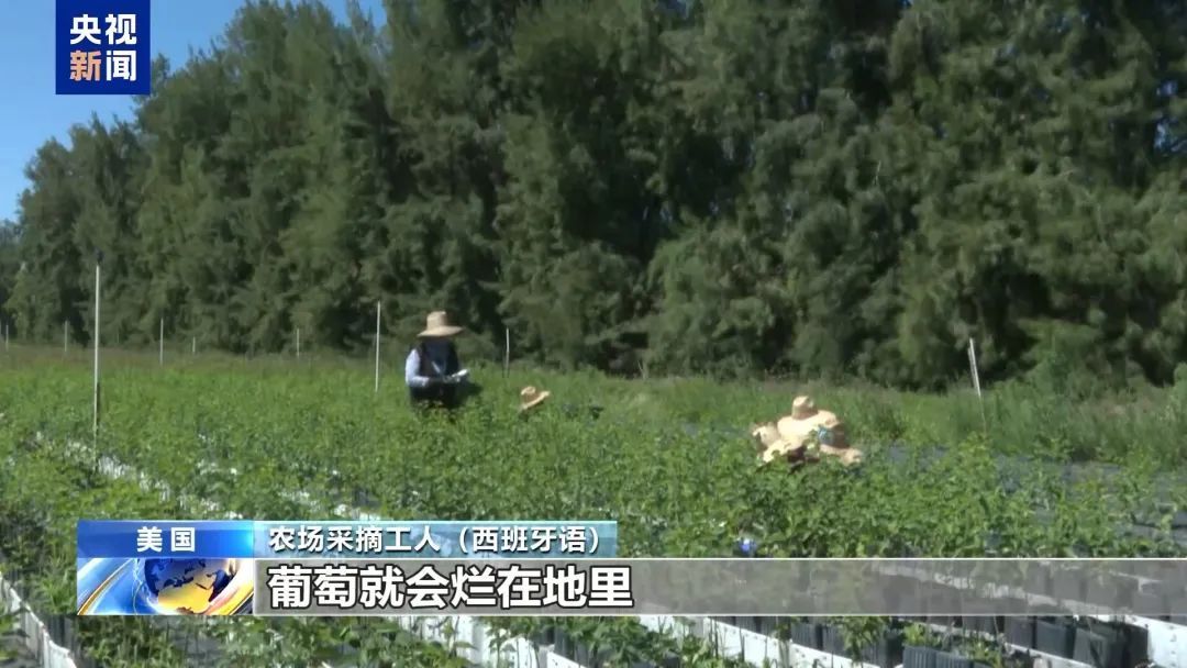 特朗普“亲自剪彩”! “鳄鱼恶魔岛”里隐藏着什么? 特朗普“亲自剪彩”! “鳄鱼恶魔岛”里隐藏着什么?