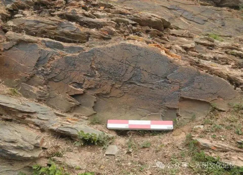 “秦始皇遣使采药昆仑石刻”是真是假？作者仝涛首次回应质疑！