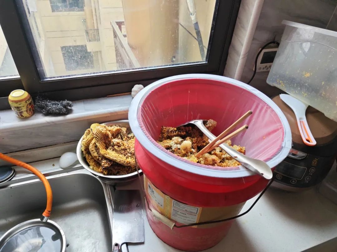 海宁周师傅的蜜蜂箱被盗,警方抓获窃贼时发现…… 海宁周师傅的蜜蜂箱被盗,警方抓获窃贼时发现……