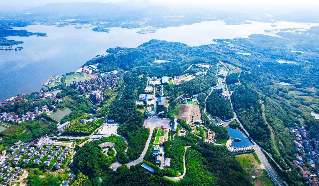 7—8月，南京这些景区免费开放！