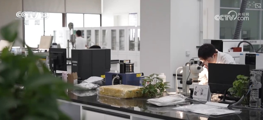 掰手腕、逆袭、新赛道……诸多民企硬核“拳头产品”参与全球竞争 释放新潜能 掰手腕、逆袭、新赛道……诸多民企硬核“拳头产品”参与全球竞争 释放新潜能