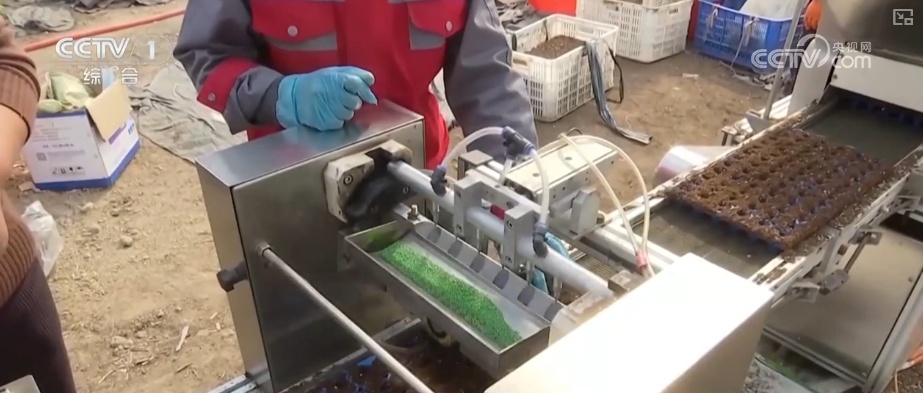 产业兴、消费热、活力澎湃!诸多利好积聚发力为经济发展注入强劲动力 产业兴、消费热、活力澎湃!诸多利好积聚发力为经济发展注入强劲动力