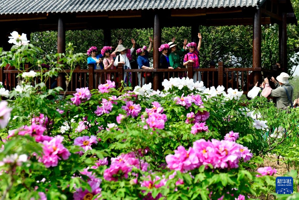 中国之城丨山东菏泽：黄河臂弯里的水韵花城