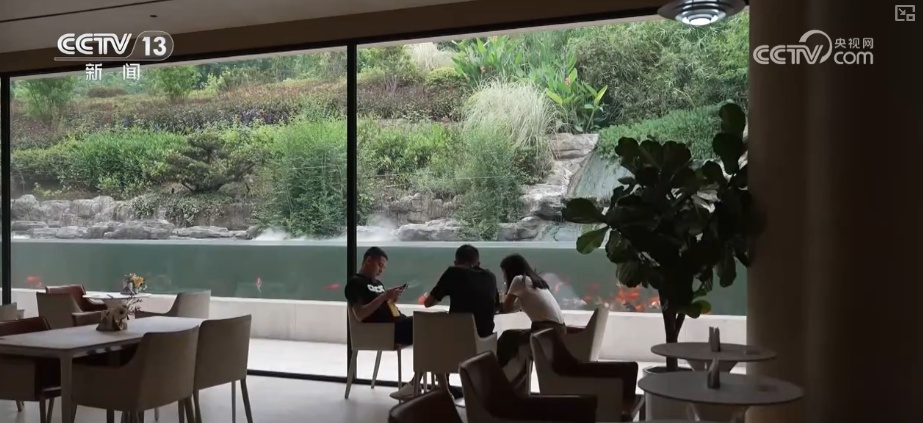 掰手腕、逆袭、新赛道……诸多民企硬核“拳头产品”参与全球竞争 释放新潜能 掰手腕、逆袭、新赛道……诸多民企硬核“拳头产品”参与全球竞争 释放新潜能