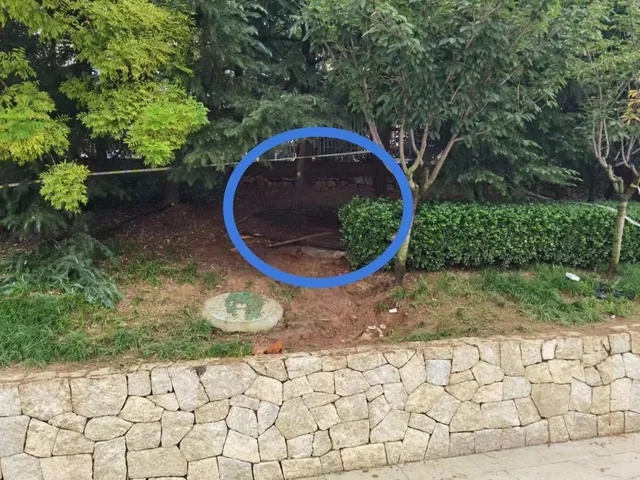 12岁男孩掉进小区窨井身亡,事发地距物业中心约5米…… 12岁男孩掉进小区窨井身亡,事发地距物业中心约5米……