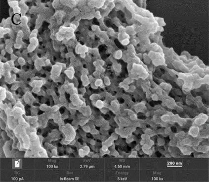 夏天怕水果放坏？科学家的新发现让保鲜期延长