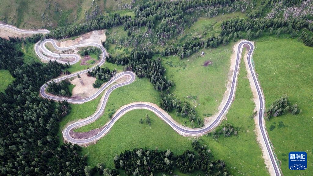 大道通进夏牧场 大道通进夏牧场