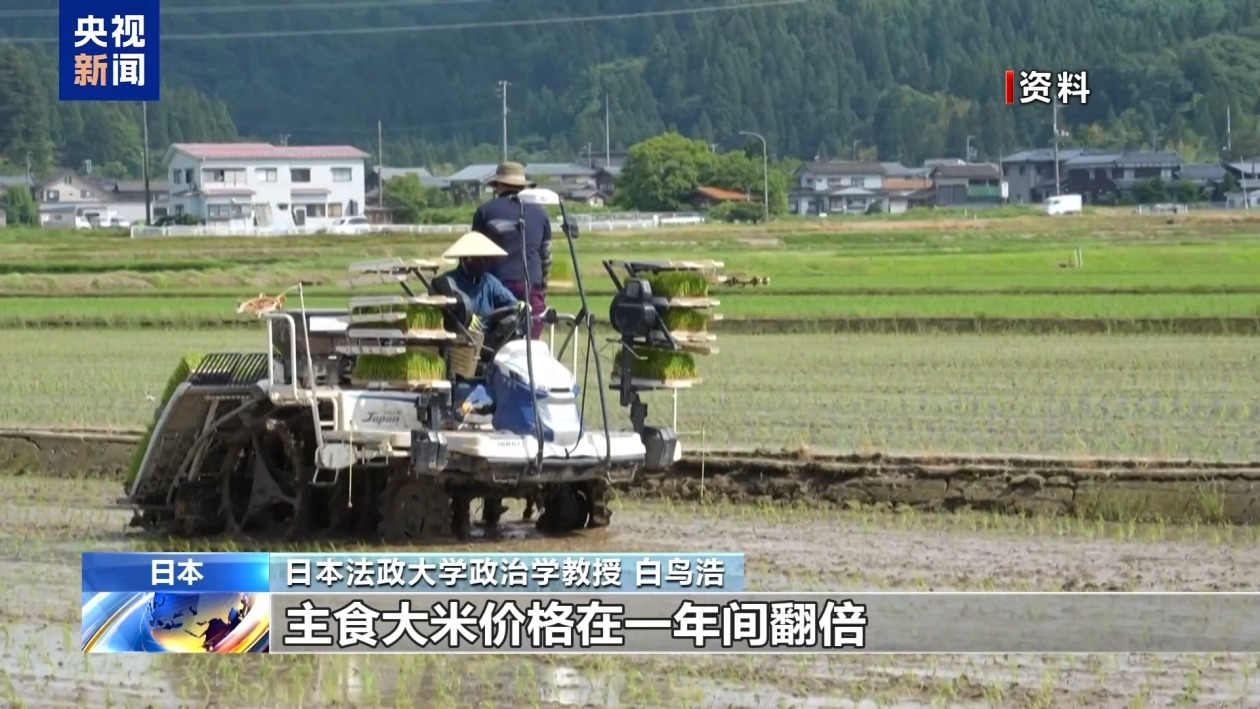 日本参议院选举拉开帷幕 专家:石破内阁或将面临严峻挑战 日本参议院选举拉开帷幕 专家:石破内阁或将面临严峻挑战