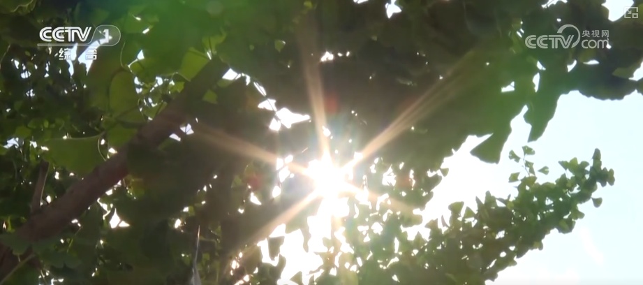 北方也有回南天?这样的天气在北方正常吗?持续多久?分析解答 北方也有回南天?这样的天气在北方正常吗?持续多久?分析解答