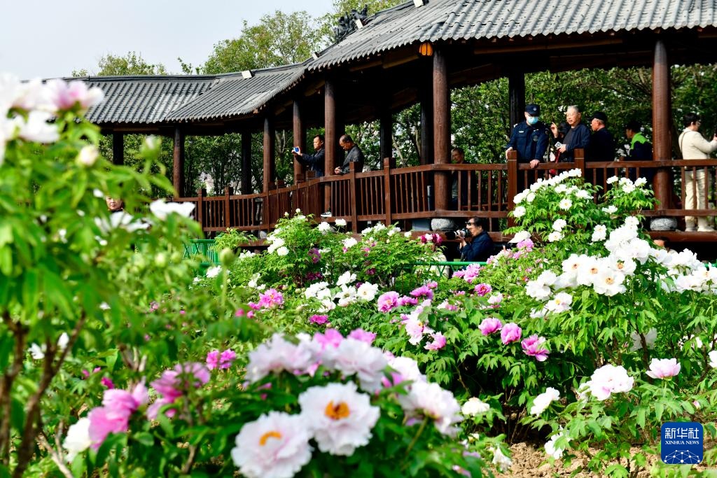 中国之城丨山东菏泽：黄河臂弯里的水韵花城