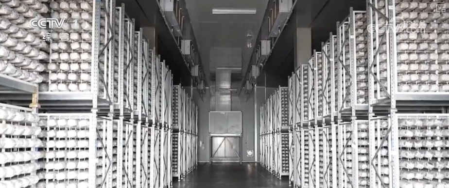 产业兴、消费热、活力澎湃!诸多利好积聚发力为经济发展注入强劲动力 产业兴、消费热、活力澎湃!诸多利好积聚发力为经济发展注入强劲动力