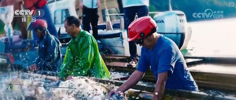 产业兴、消费热、活力澎湃!诸多利好积聚发力为经济发展注入强劲动力 产业兴、消费热、活力澎湃!诸多利好积聚发力为经济发展注入强劲动力