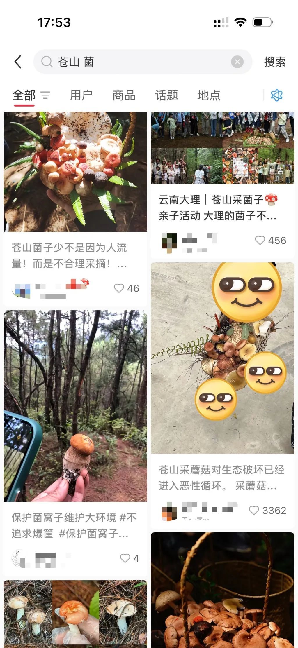 “大理的野生菌马上要被游客采绝了”,官方回应 “大理的野生菌马上要被游客采绝了”,官方回应