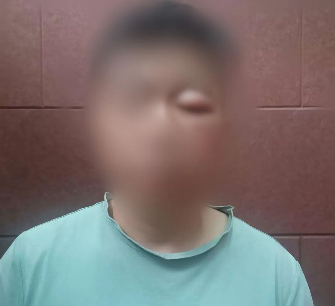 海宁周师傅的蜜蜂箱被盗,警方抓获窃贼时发现…… 海宁周师傅的蜜蜂箱被盗,警方抓获窃贼时发现……