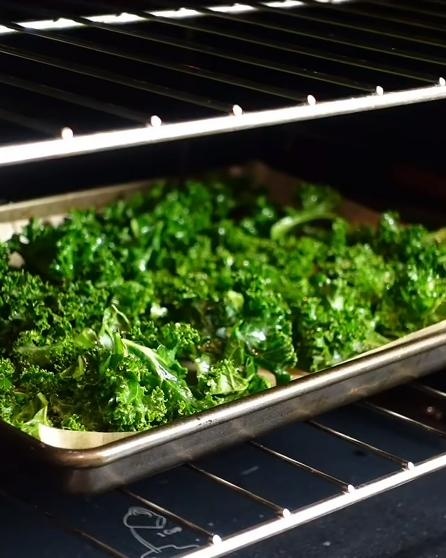 从茶饮顶流到营养担当!羽衣甘蓝凭什么火遍全网? 从茶饮顶流到营养担当!羽衣甘蓝凭什么火遍全网?