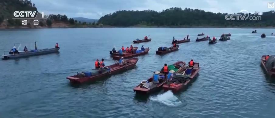 感知中国活力丨多元特色产业绘就乡村振兴新画卷 感知中国活力丨多元特色产业绘就乡村振兴新画卷