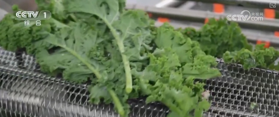 产业兴、消费热、活力澎湃!诸多利好积聚发力为经济发展注入强劲动力 产业兴、消费热、活力澎湃!诸多利好积聚发力为经济发展注入强劲动力