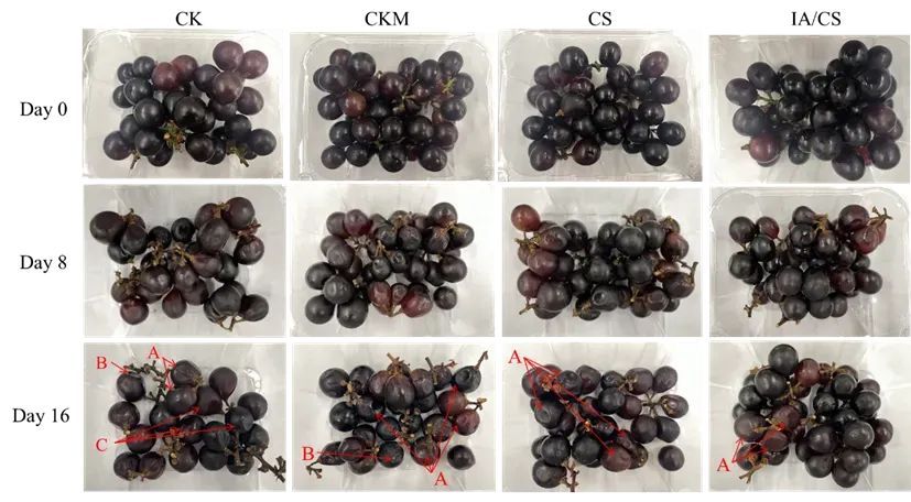夏天怕水果放坏？科学家的新发现让保鲜期延长