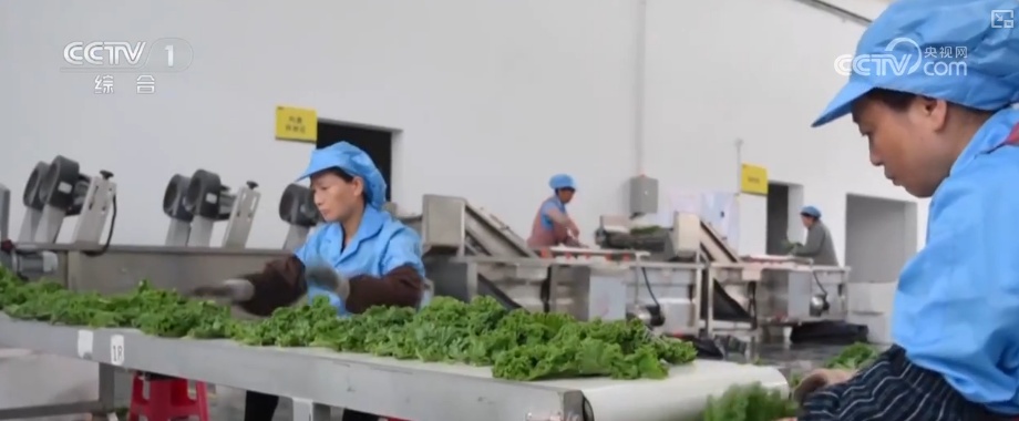 产业兴、消费热、活力澎湃!诸多利好积聚发力为经济发展注入强劲动力 产业兴、消费热、活力澎湃!诸多利好积聚发力为经济发展注入强劲动力