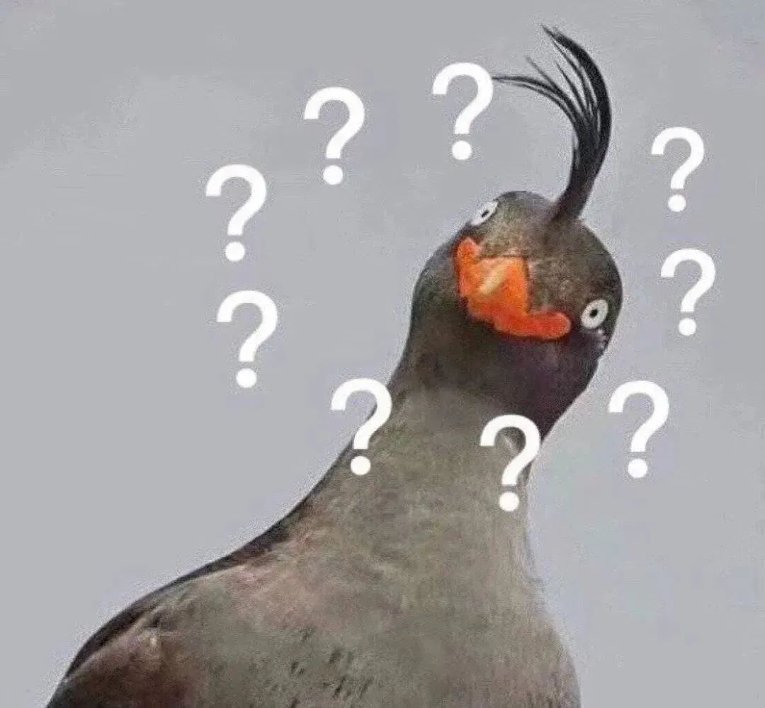 小孩哥一个操作,警察上门表扬! 小孩哥一个操作,警察上门表扬!