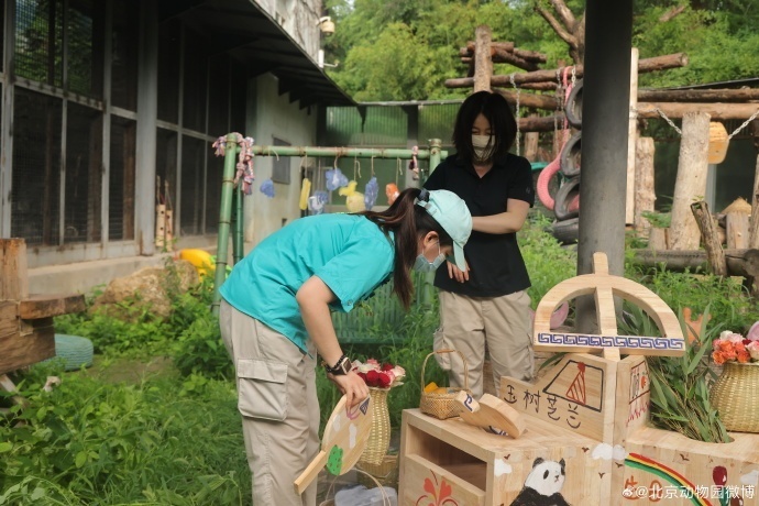 萌兰、花花、和叶,生日快乐!熊猫顶流邀请你一起庆生 萌兰、花花、和叶,生日快乐!熊猫顶流邀请你一起庆生