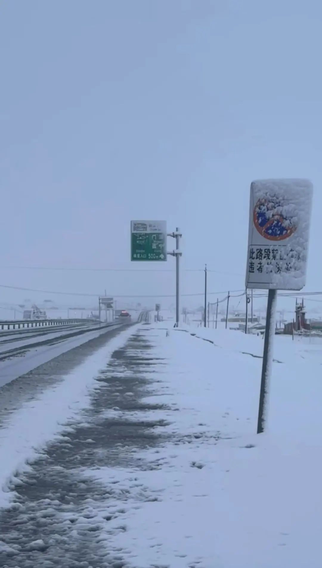 7月大雪纷飞!青海祁连大草原一夜之间白雪皑皑 7月大雪纷飞!青海祁连大草原一夜之间白雪皑皑