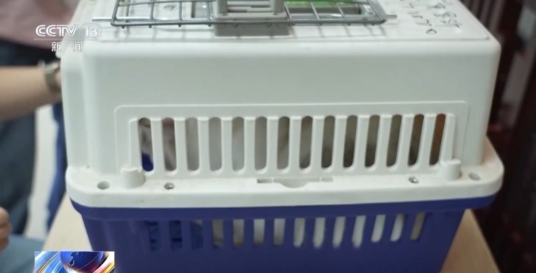 高铁航空齐推宠物托运服务!@爱宠人士 这些要求看过来 高铁航空齐推宠物托运服务!@爱宠人士 这些要求看过来