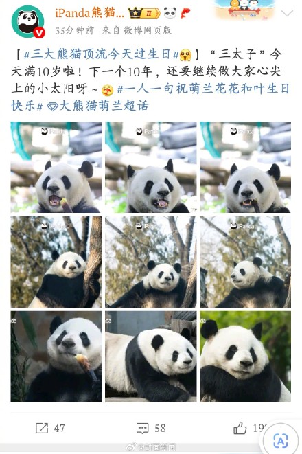 萌兰、花花、和叶生日萌度超标 萌兰、花花、和叶生日萌度超标