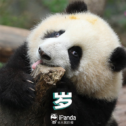 送祝福！花花和叶5岁生日快乐