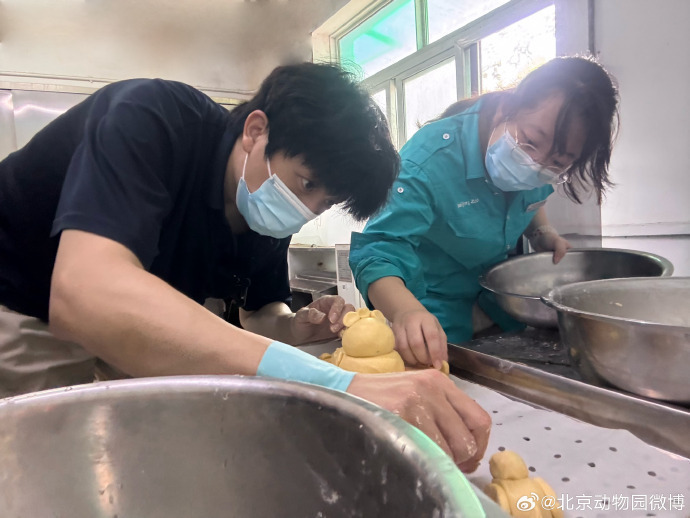 萌兰、花花、和叶,生日快乐!熊猫顶流邀请你一起庆生 萌兰、花花、和叶,生日快乐!熊猫顶流邀请你一起庆生