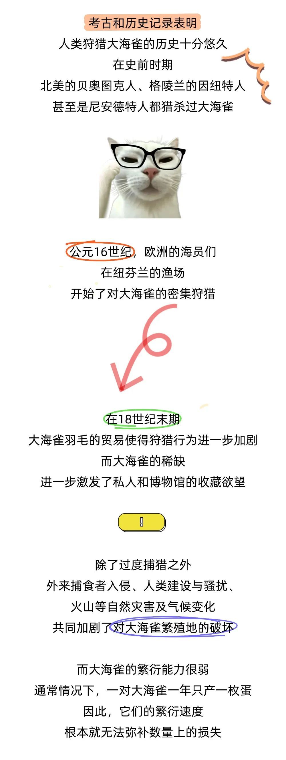 北极也曾有过企鹅？已经灭绝近两百年了！