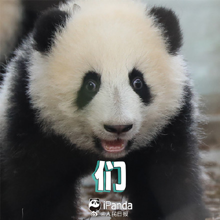 送祝福！花花和叶5岁生日快乐