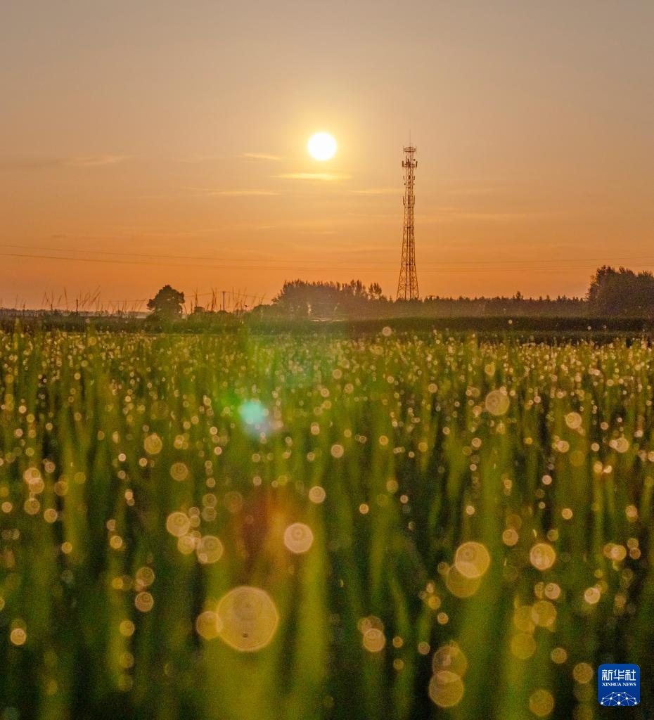 星空相册|年度“最小太阳”登场 星空相册|年度“最小太阳”登场